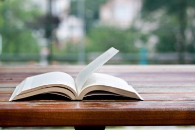 reading at park, a book on a table