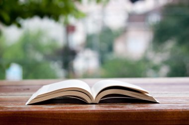 reading at park, a book on a table