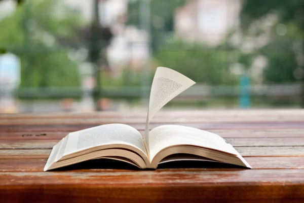 Lire au parc, un livre sur une table — Photo