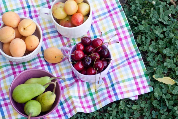 Frutta assortita da vicino — Foto Stock