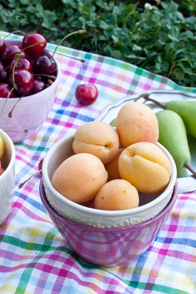 Fruits for picnic close up — Stockfoto