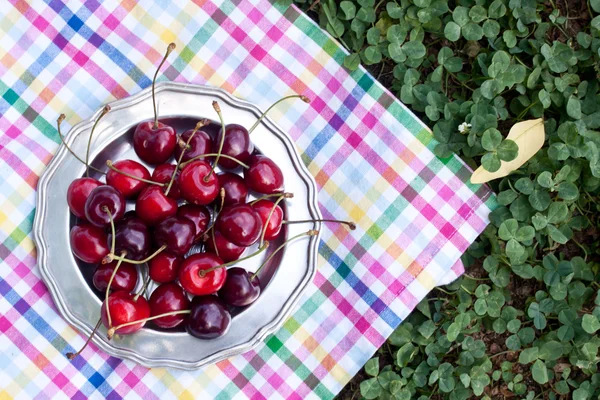 Cherry on a plate close up — Stock Photo, Image