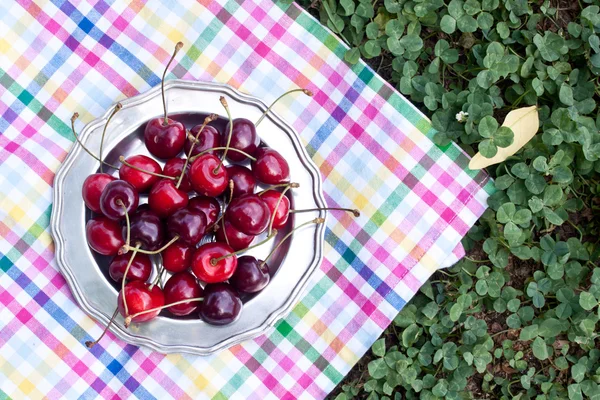 Cherry on a plate close up — Stock Photo, Image