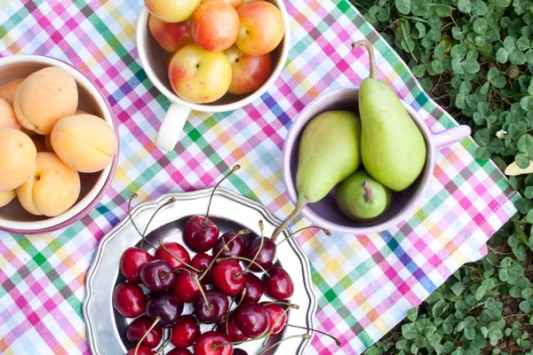 野餐用的各种水果 — 图库照片