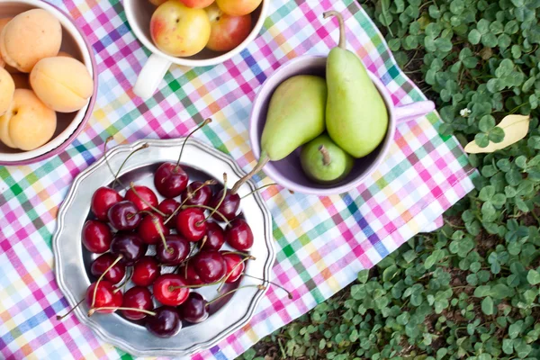 野餐用的各种水果 — 图库照片