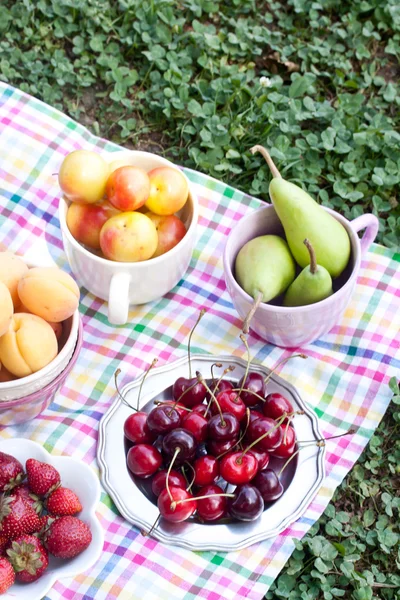 Frutas surtidas para picnic —  Fotos de Stock