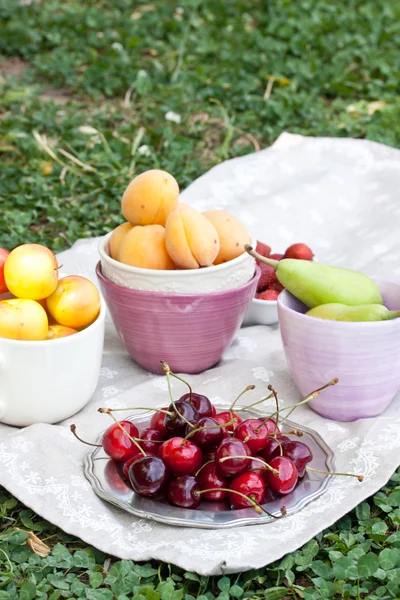 Różne owoce piknik — Zdjęcie stockowe