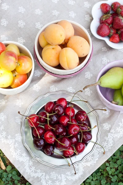 Assorted fruits for picnic — Stock Photo, Image