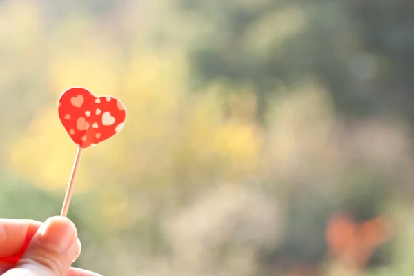 Tenendo cuore di carta — Foto Stock