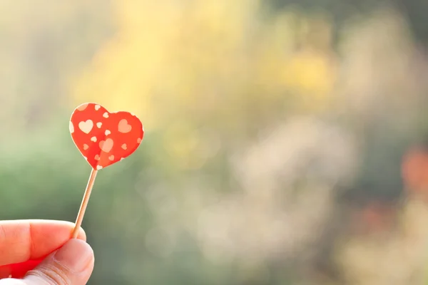 Holding paper heart — Stock Photo, Image