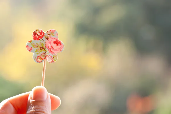 Håller papper blomma — Stockfoto