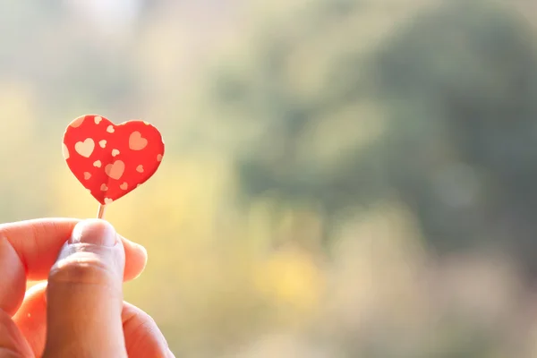 Holding paper heart — Stock Photo, Image