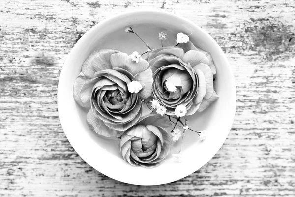 Ranunculus цветок на деревянном фоне — стоковое фото