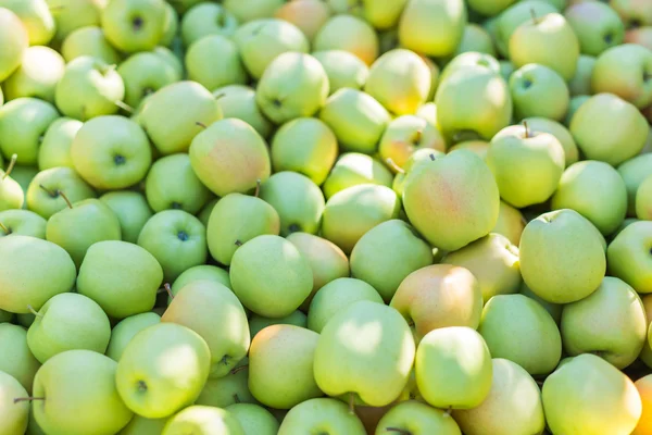 Manzanas verdes (Golden Delicious ) —  Fotos de Stock