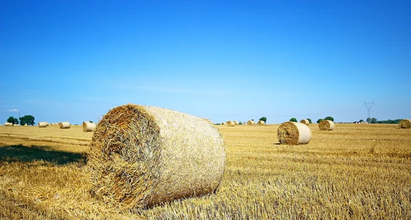 Hay stapel in een zomer veld, Polen — Stockfoto