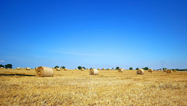 Hay stack em um campo de verão, Polônia — Fotografia de Stock