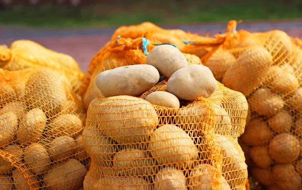 Kartoffeln in Tüten — Stockfoto