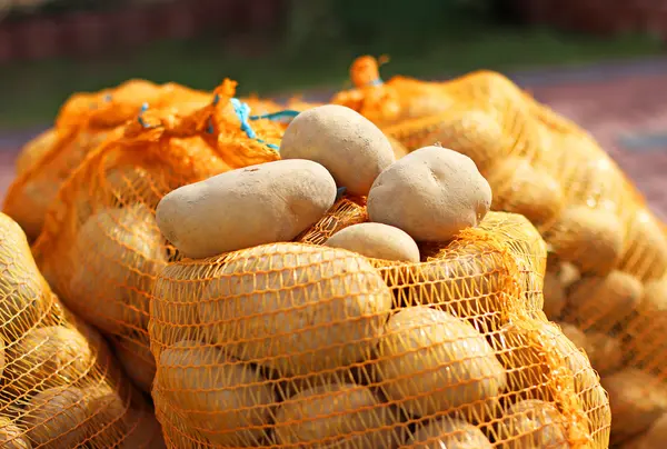 Potatis i påsar — Stockfoto