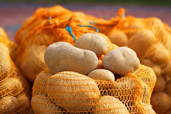 Potatis i påsar — Stockfoto