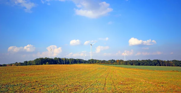 Bellissimo paesaggio del campo in estate — Foto Stock