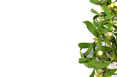 Noel dekorasyonu, ökseotunun meyveleri ile