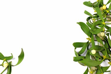 Noel dekorasyonu, ökseotunun meyveleri ile