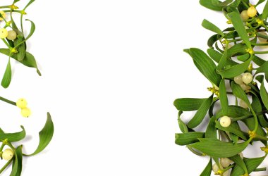 Noel dekorasyonu, ökseotunun meyveleri ile