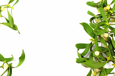 Noel dekorasyonu, ökseotunun meyveleri ile