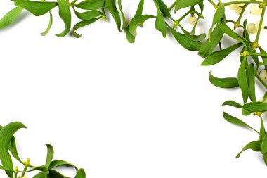 Noel dekorasyonu, ökseotunun meyveleri ile