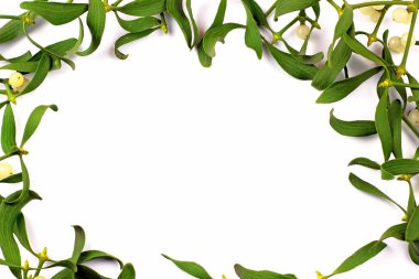 Noel dekorasyonu, ökseotunun meyveleri ile