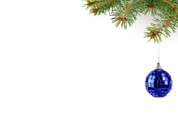 Christmas evergreen spruce tree and glass ball — Stock Photo, Image