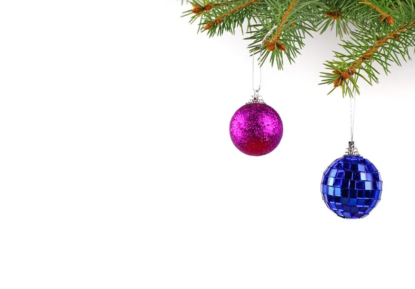 Christmas evergreen spruce tree and glass ball — Stock Photo, Image