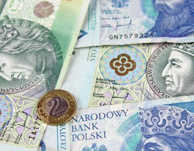 Polonya Zlotisi (Pln) para birimi - banknot ve madeni paralar