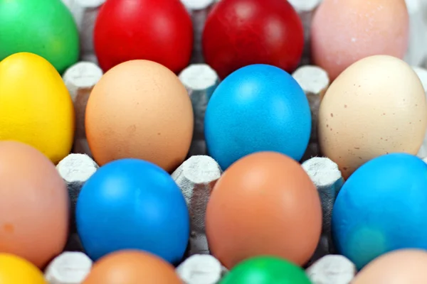 卵の色 — ストック写真
