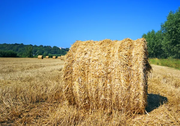 Balle di fieno sul campo dopo il raccolto, Polonia — Foto Stock