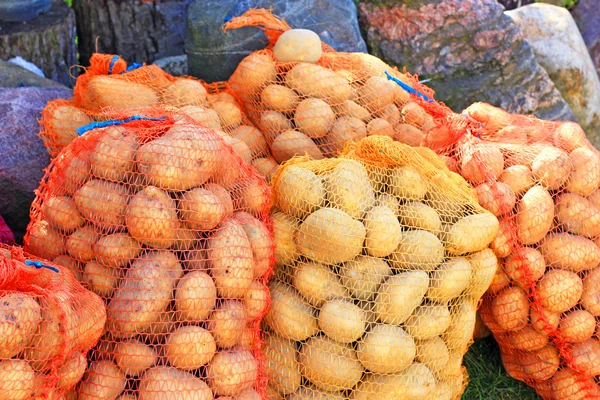 Batatas em sacos . — Fotografia de Stock