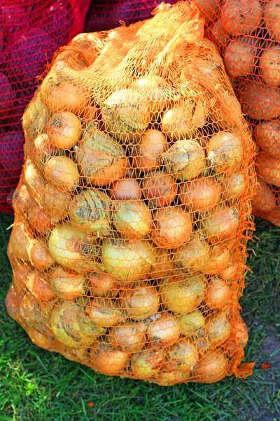 Brambory, cibule a řepa — Stock fotografie