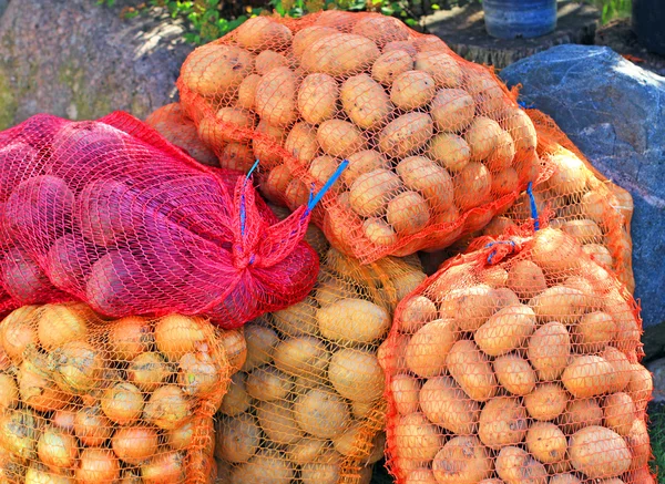 Batatas, cebolas e beterrabas — Fotografia de Stock