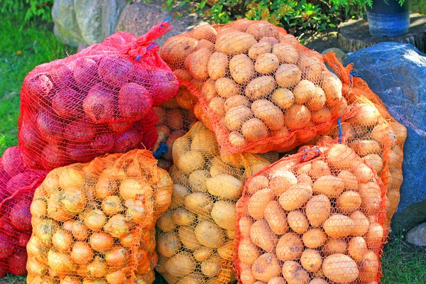 Ziemniaki, cebula, buraki — Zdjęcie stockowe