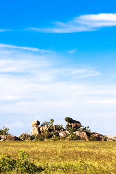 Serengeti'nin mavi gökyüzü. Tanzanya, Afrika — Stok fotoğraf