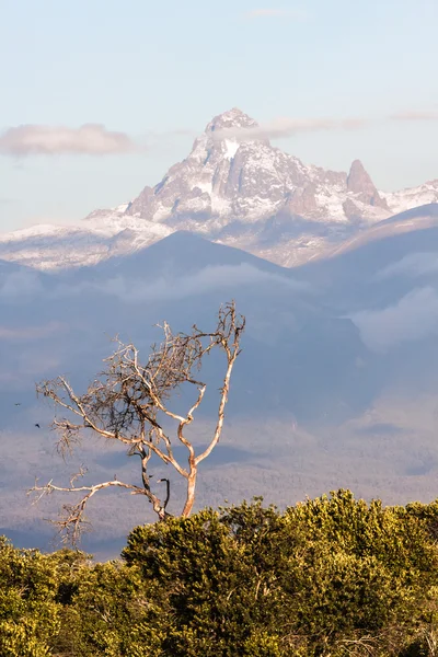 Montaña en África, Monte Kenia . — Foto de Stock