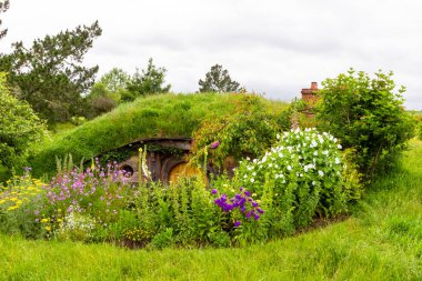 Matamata, Kuzey Adası, Yeni Zelanda-11 20: 2019 Hobbiton 'daki Hobbit kulübeleri.