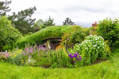 Matamata, Kuzey Adası, Yeni Zelanda-11 20: 2019 Hobbiton 'daki Hobbit kulübeleri.