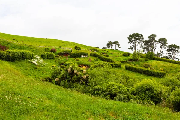 Matamata North Island Nova Zelândia 2019 Paisagens Hobbiton — Fotografia de Stock