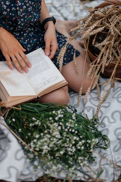Дівчина Читає Книгу Пшеничному Полі — стокове фото