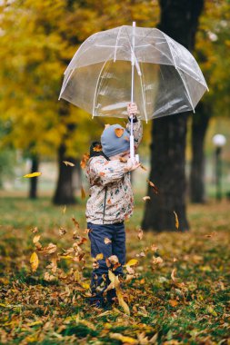 Şemsiyeli çocuk sonbahar ormanında