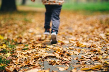 Sonbahar ormanında oynayan çocuk