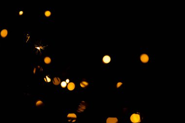 Beyaz arka planda beyaz ladin dalları üzerinde ladin dalları