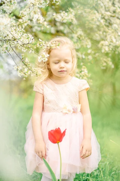 Kleines Mädchen Rosa Kleid Auf Einem Feld — Stockfoto