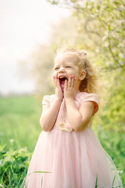 Kleines Mädchen Rosa Kleid Auf Einem Feld — Stockfoto